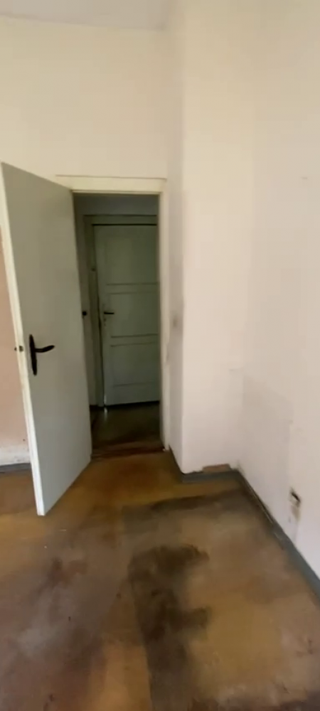 vlcsnap-2024-09-23-21h33m34s768